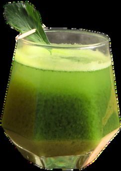 Tummy Tonic